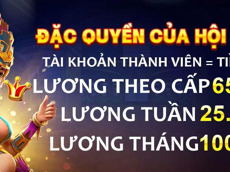 Chương trình hoàn trả và VIP