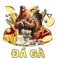 Hình ảnh người dùng 2